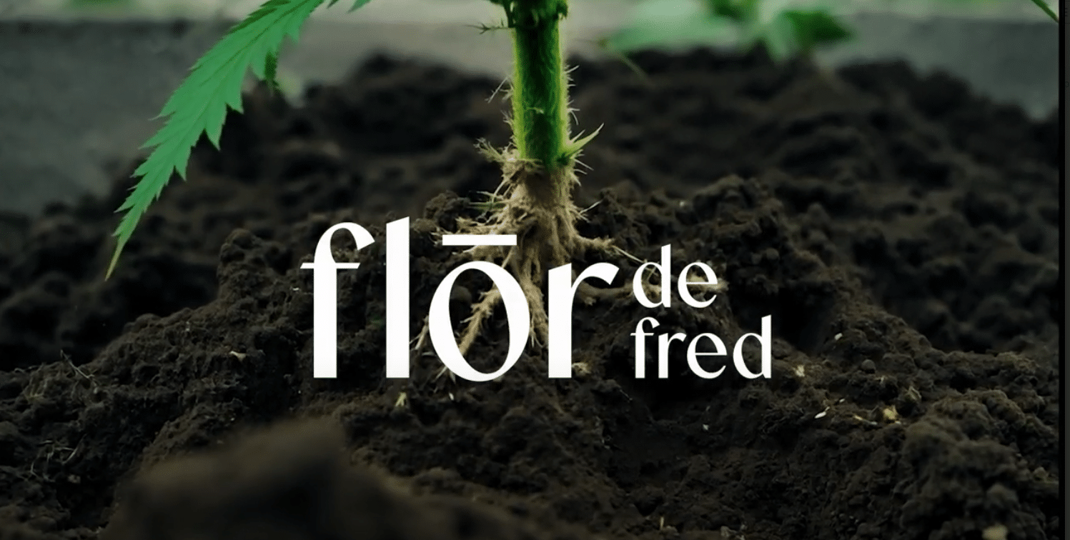 Flor de fred logo
