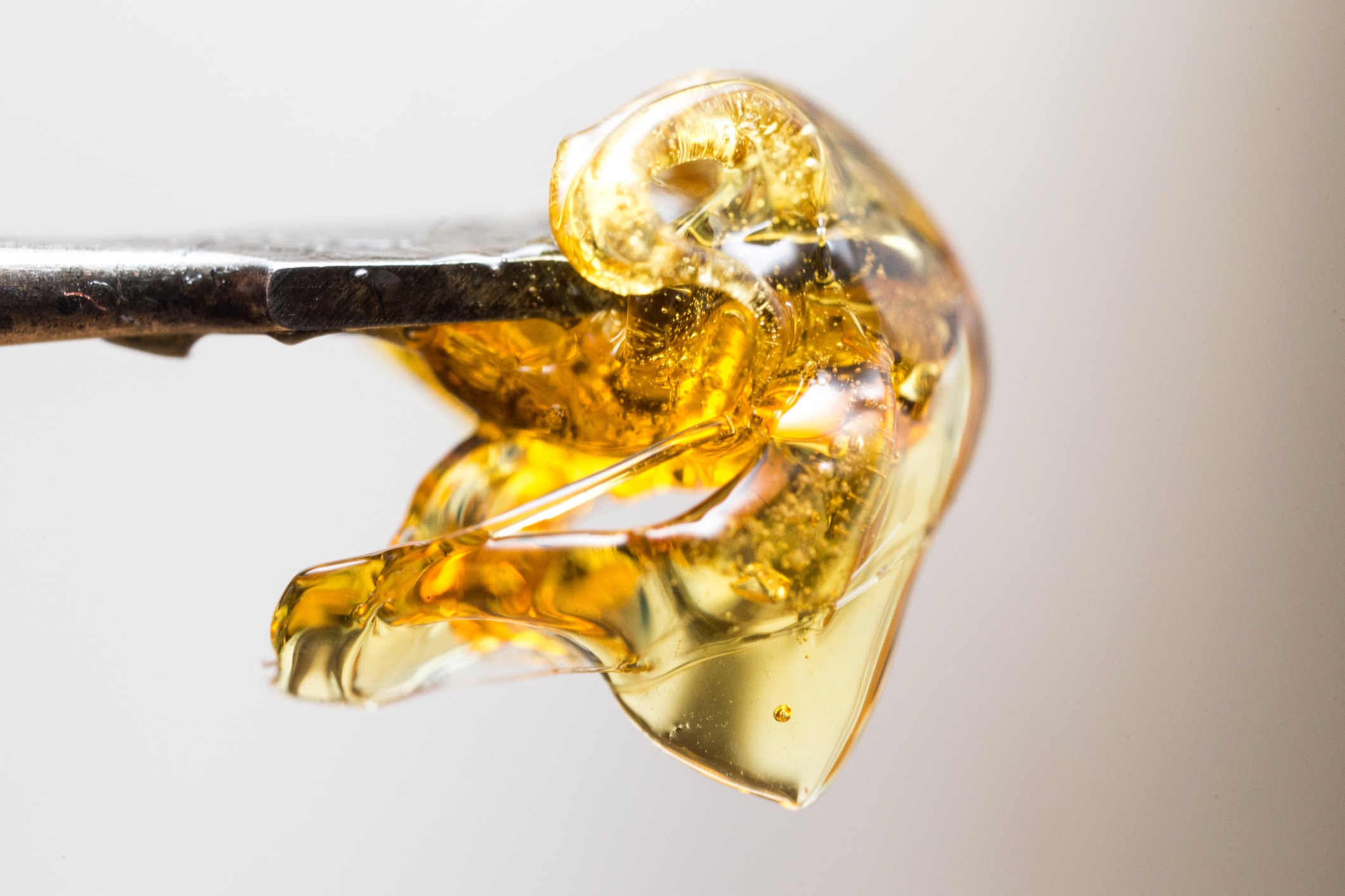 live resin or shatter cannabis concentrates