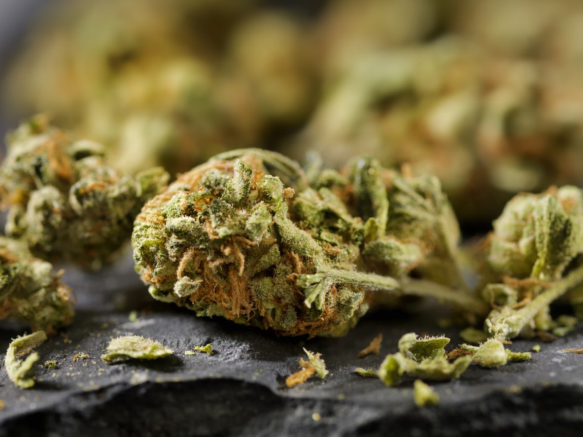 Cannabis