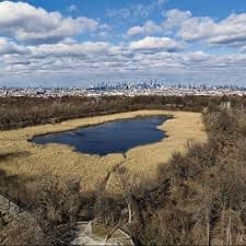 Highland Park Queens NYC Skyline view for 4/20 outdoor activities