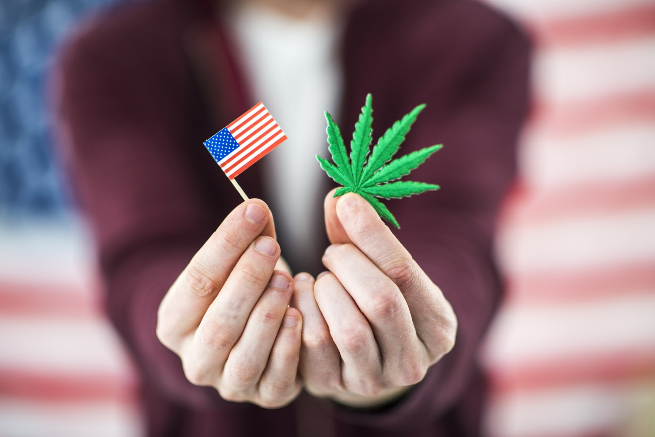 Caucasian male holding American flag and marijuana cannabis leaf.