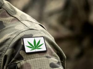 Memorial Day dispensary deals Queens