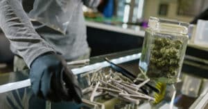A budtender works inside of a retail cannabis shop in Oregon.