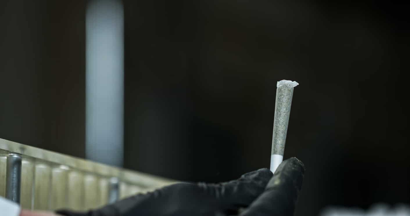 Shot of the marijuana pre-roll making process. Shot inside of a cannabis processing laboratory in Oregon, USA.