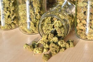 Dry and trimmed cannabis buds, stored in a glass jars. Medical cannabis