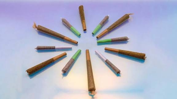 Assortment of the best prerolls on display at Flor de Fred