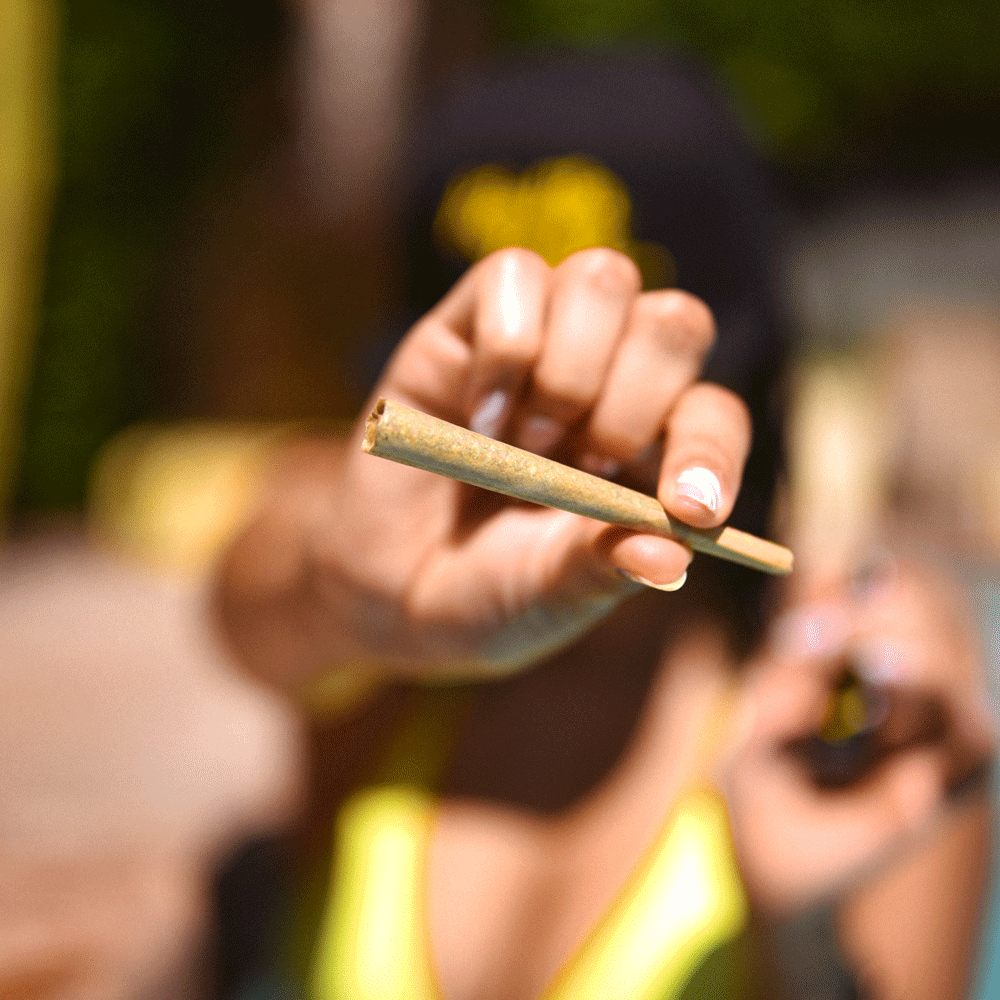 How to Pick the Best Preroll for You by Flor de Fred in Ozone Park